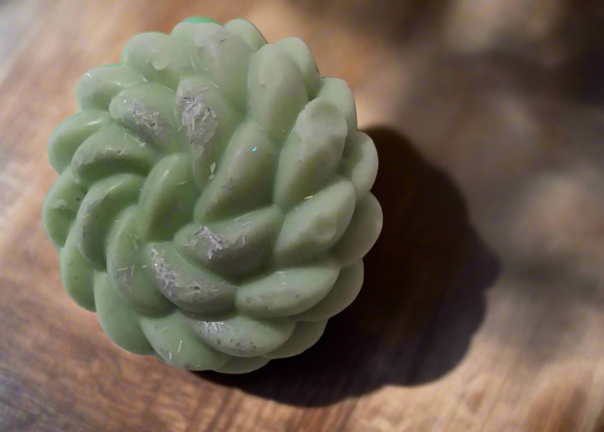 Cactus Blossom Shaped Wax Melts | Handcrafted Scented Melts | Aromatherapy | Home Fragrance