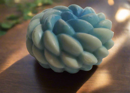 cactus blossom  Handcrafted Wax Melts - 804ESCENTIALSLLC